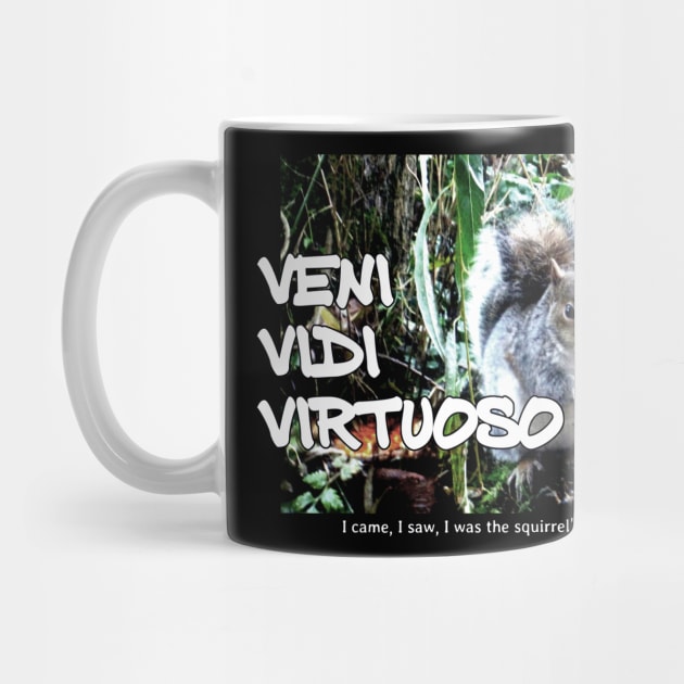 Veni Vidi Virtuoso - I came, I saw, I was the squirrel’s nuts by soitwouldseem